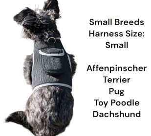Pet Tracker Rechargeable Pet Collar Tracker Best GPS Tracking Device + Realtime App Size:M